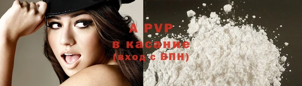 хмурый Вяземский
