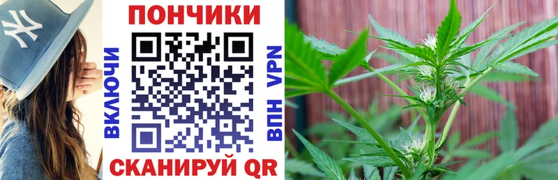 Шишки марихуана Ganja  Южа 